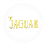 jaguar brand